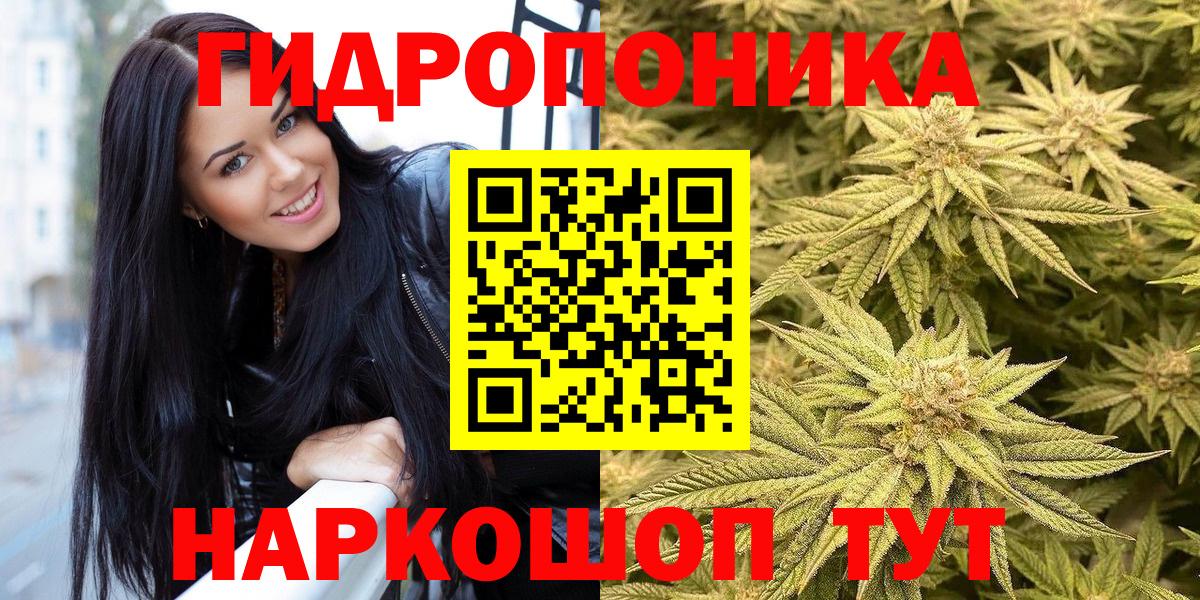 Марихуана марихуана  Вход с VPN  Саянск  Канабис семена  Каннабис семена 